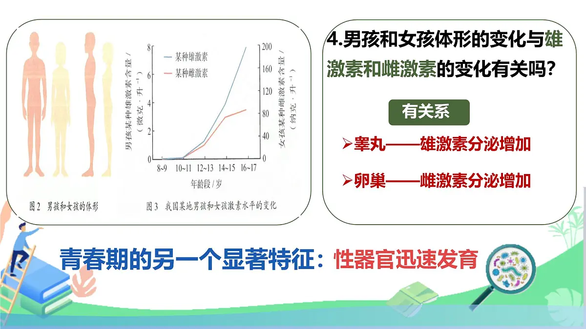 初中 生物 人教版（2024）七年级下册4.1.2 青春期 课件第5页
