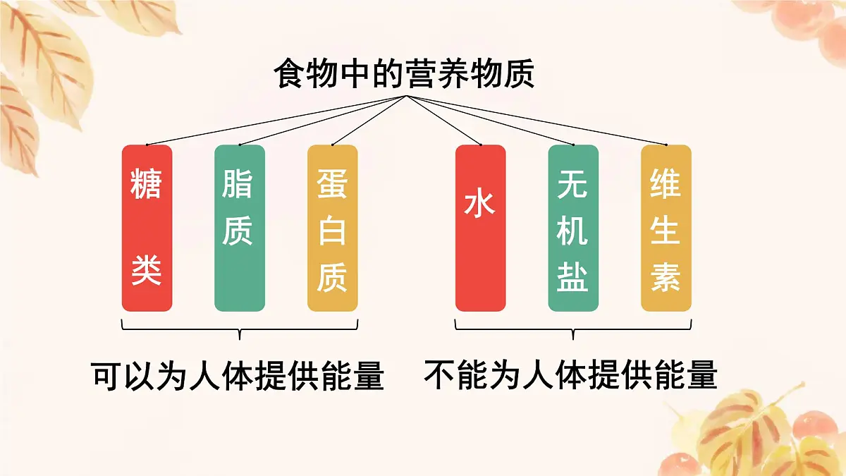 初中 生物 人教版（2024）七年级下册4.2.1 食物中的营养物质 课件第4页