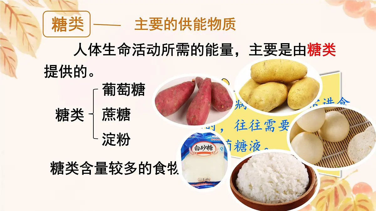 初中 生物 人教版（2024）七年级下册4.2.1 食物中的营养物质 课件第6页