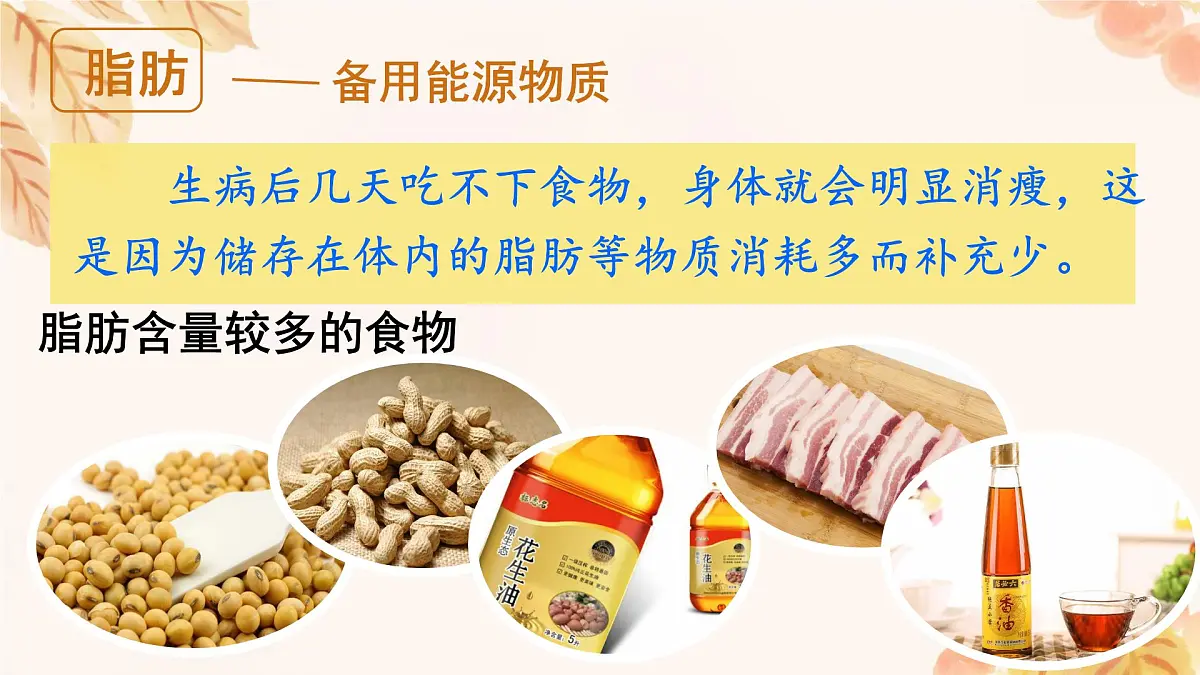 初中 生物 人教版（2024）七年级下册4.2.1 食物中的营养物质 课件第7页