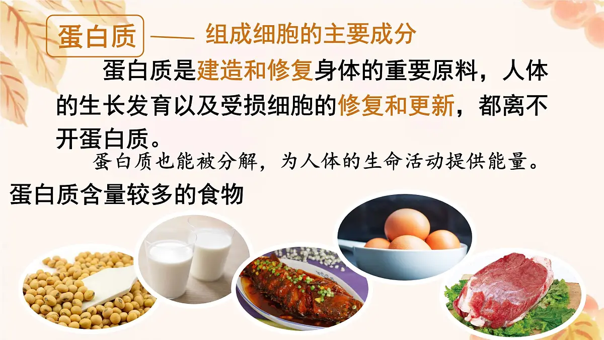 初中 生物 人教版（2024）七年级下册4.2.1 食物中的营养物质 课件第8页