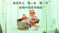 初中生物人教版(2024)七年级下册(2024)食物中的营养物质教学课件ppt