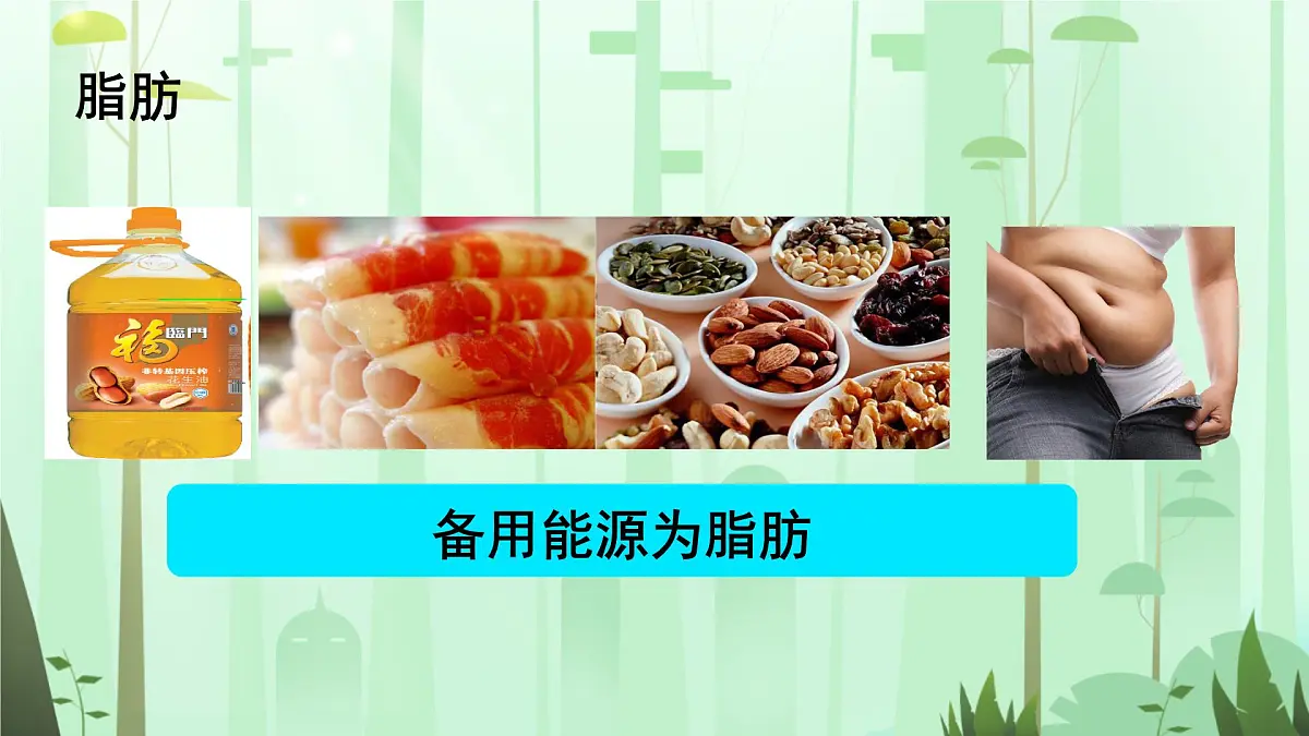 初中 生物 人教版（2024）七年级下册4.2.1 食物中的营养物质 课件第7页