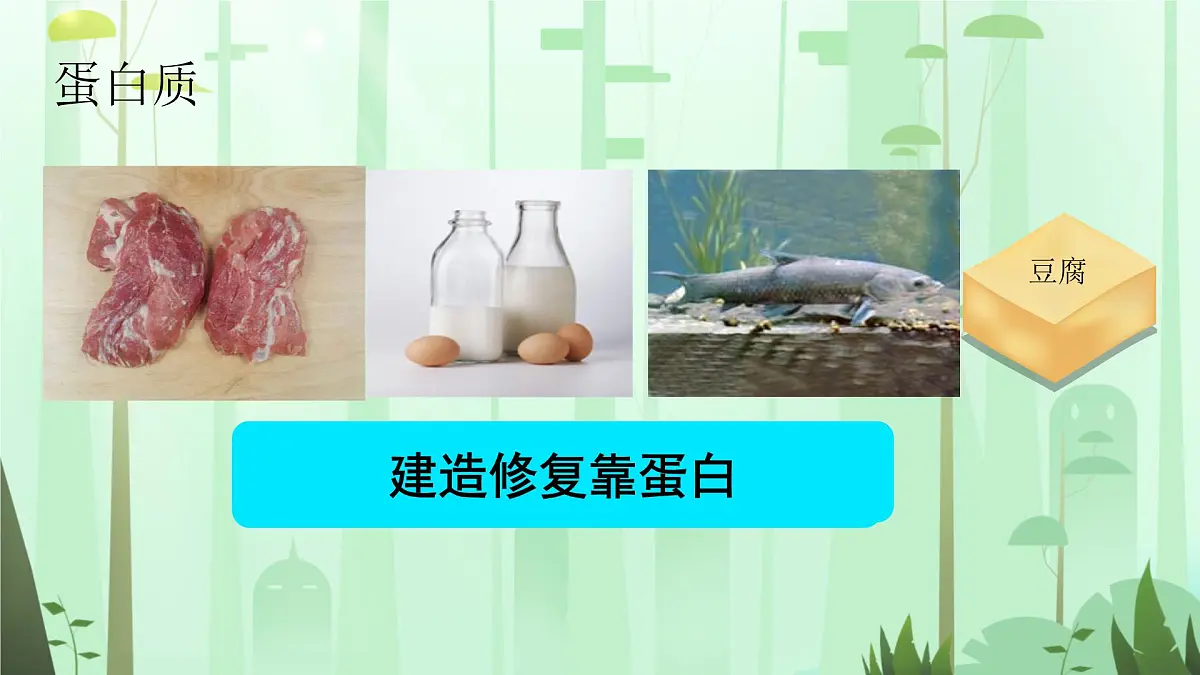 初中 生物 人教版（2024）七年级下册4.2.1 食物中的营养物质 课件第8页