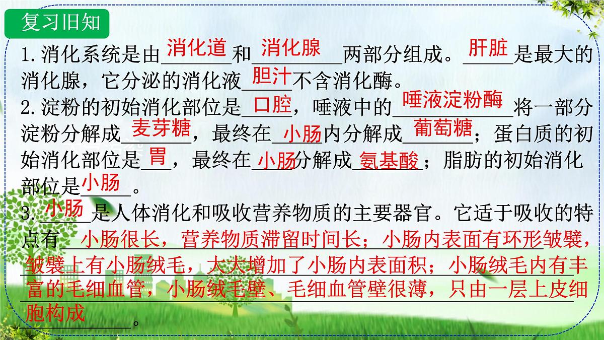 初中  生物 人教版（2024）七年级下册4.2.3 合理营养与食品安全 课件第2页