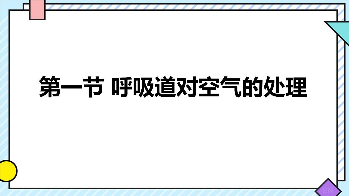初中 生物 人教版（2024） 七年级下册4.3.1 呼吸道对空气的处理 课件第1页