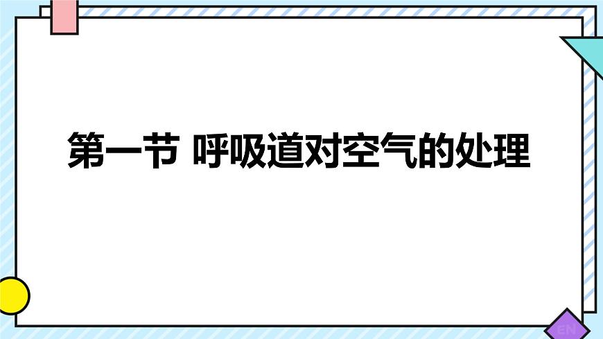 初中 生物  人教版（2024） 七年级下册4.3.1 呼吸道对空气的处理 课件第1页
