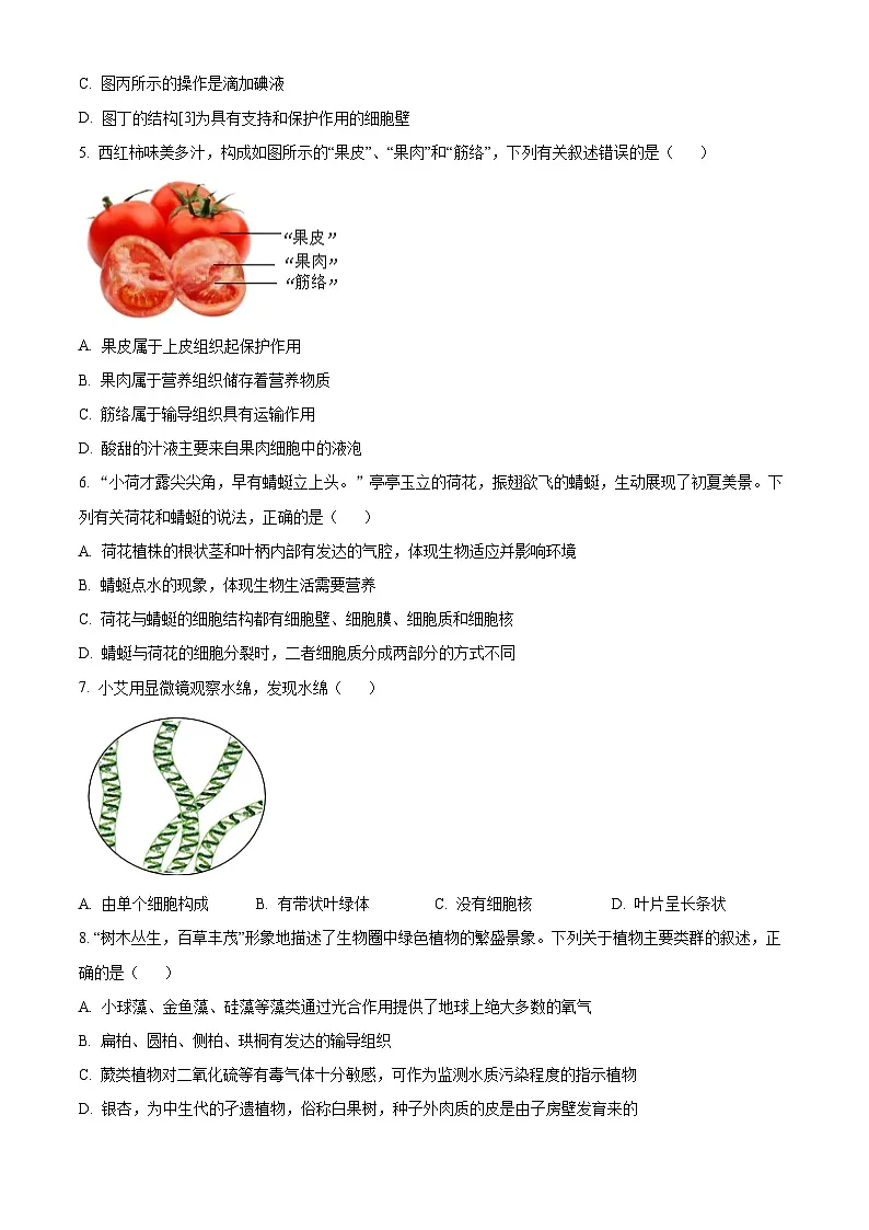 2025年山东省泰安市新泰市中考一模生物试题（原卷版+解析版）第2页
