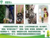 綜合實踐項目 栽培一種植物，探究所需的環(huán)境條件 2025學年七年級生物下冊（人教版2024）課件