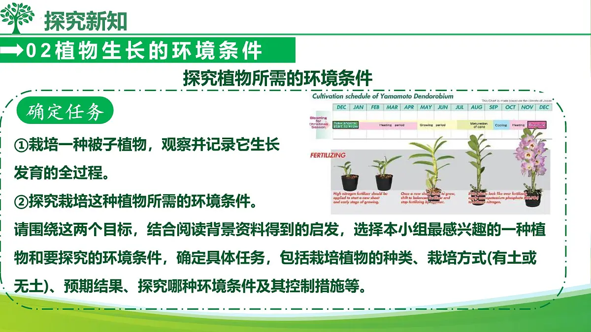 综合实践项目 栽培一种植物，探究所需的环境条件 2025学年七年级生物下册（人教版2024）课件第8页