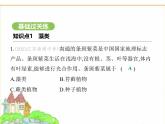 蘇科版七年級生物下冊第4單元生物的多樣性第7章藻類與植物類群第1節(jié)藻類課件