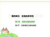 蘇科版七年級(jí)生物下冊(cè)第4單元生物的多樣性第7章藻類與植物類群第2節(jié)苔蘚植物與蕨類植物課件