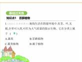 蘇科版七年級(jí)生物下冊(cè)第4單元生物的多樣性第7章藻類與植物類群第2節(jié)苔蘚植物與蕨類植物課件