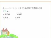 蘇科版七年級(jí)生物下冊(cè)第4單元生物的多樣性第7章藻類與植物類群第2節(jié)苔蘚植物與蕨類植物課件