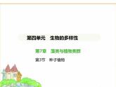 蘇科版七年級(jí)生物下冊(cè)第4單元生物的多樣性第7章藻類與植物類群第3節(jié)種子植物課件