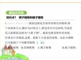 蘇科版七年級(jí)生物下冊(cè)第4單元生物的多樣性第7章藻類與植物類群第3節(jié)種子植物課件