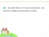 蘇科版七年級(jí)生物下冊(cè)第4單元生物的多樣性第7章藻類與植物類群第3節(jié)種子植物課件