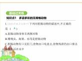 蘇科版七年級生物下冊第4單元生物的多樣性第8章動物的主要類群第1節(jié)無脊椎動物課件