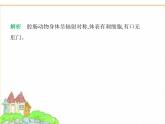 蘇科版七年級生物下冊第4單元生物的多樣性第8章動物的主要類群第1節(jié)無脊椎動物課件