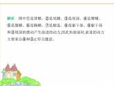蘇科版七年級(jí)生物下冊(cè)第4單元生物的多樣性第8章動(dòng)物的主要類群第2節(jié)脊椎動(dòng)物第1課時(shí)魚類課件