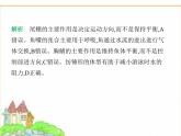 蘇科版七年級(jí)生物下冊(cè)第4單元生物的多樣性第8章動(dòng)物的主要類群第2節(jié)脊椎動(dòng)物第1課時(shí)魚類課件
