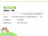 蘇科版七年級(jí)生物下冊(cè)第4單元生物的多樣性第8章動(dòng)物的主要類群第2節(jié)脊椎動(dòng)物第3課時(shí)鳥(niǎo)類和哺乳類課件