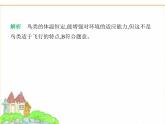 蘇科版七年級(jí)生物下冊(cè)第4單元生物的多樣性第8章動(dòng)物的主要類群第2節(jié)脊椎動(dòng)物第3課時(shí)鳥(niǎo)類和哺乳類課件