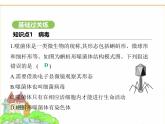 蘇科版七年級生物下冊第4單元生物的多樣性第9章微生物第1節(jié)病毒與細菌課件