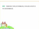 蘇科版七年級生物下冊第4單元生物的多樣性第9章微生物第1節(jié)病毒與細菌課件