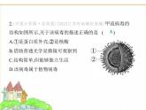 蘇科版七年級生物下冊第4單元生物的多樣性第9章微生物第1節(jié)病毒與細菌課件