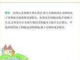 蘇科版七年級生物下冊第4單元生物的多樣性第9章微生物第1節(jié)病毒與細菌課件