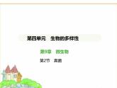 蘇科版七年級(jí)生物下冊(cè)第4單元生物的多樣性第9章微生物第2節(jié)真菌課件