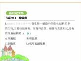 蘇科版七年級(jí)生物下冊(cè)第4單元生物的多樣性第9章微生物第2節(jié)真菌課件