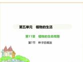 蘇科版七年級(jí)生物下冊(cè)第5單元植物的生活第11章植物的生命周期第1節(jié)種子的萌發(fā)課件