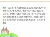 蘇科版七年級(jí)生物下冊(cè)第5單元植物的生活第11章植物的生命周期第1節(jié)種子的萌發(fā)課件