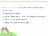 蘇科版七年級(jí)生物下冊(cè)第5單元植物的生活第11章植物的生命周期第1節(jié)種子的萌發(fā)課件