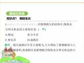 蘇科版七年級(jí)生物下冊(cè)第5單元植物的生活第11章植物的生命周期第2節(jié)植物的生長(zhǎng)第1課時(shí)根的生長(zhǎng)及莖和葉的生長(zhǎng)課件