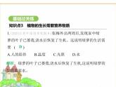 蘇科版七年級(jí)生物下冊(cè)第5單元植物的生活第11章植物的生命周期第2節(jié)植物的生長(zhǎng)第2課時(shí)植物的生長(zhǎng)需要營(yíng)養(yǎng)物質(zhì)課件