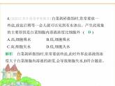 蘇科版七年級(jí)生物下冊(cè)第5單元植物的生活第11章植物的生命周期第2節(jié)植物的生長(zhǎng)第2課時(shí)植物的生長(zhǎng)需要營(yíng)養(yǎng)物質(zhì)課件