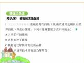 蘇科版七年級生物下冊第5單元植物的生活第11章植物的生命周期第3節(jié)植物的開花和結(jié)果第2課時植物的無性生殖課件