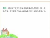 蘇科版七年級生物下冊第5單元植物的生活第11章植物的生命周期第3節(jié)植物的開花和結(jié)果第2課時植物的無性生殖課件