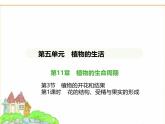 蘇科版七年級生物下冊第5單元植物的生活第11章第3節(jié)植物的開花和結(jié)果第1課時花的結(jié)構(gòu)、受精與果實的形成課件