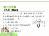蘇科版七年級生物下冊第5單元植物的生活第11章第3節(jié)植物的開花和結(jié)果第1課時花的結(jié)構(gòu)、受精與果實的形成課件