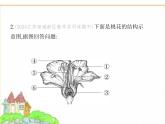 蘇科版七年級生物下冊第5單元植物的生活第11章第3節(jié)植物的開花和結(jié)果第1課時花的結(jié)構(gòu)、受精與果實的形成課件