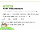 蘇科版七年級(jí)生物下冊(cè)第5單元植物的生活第12章植物維持生物圈的穩(wěn)定第1節(jié)植物是生物圈中的生產(chǎn)者課件