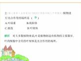 蘇科版七年級(jí)生物下冊(cè)第5單元植物的生活第12章植物維持生物圈的穩(wěn)定第1節(jié)植物是生物圈中的生產(chǎn)者課件