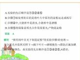 蘇科版七年級(jí)生物下冊(cè)第5單元植物的生活第12章植物維持生物圈的穩(wěn)定第1節(jié)植物是生物圈中的生產(chǎn)者課件