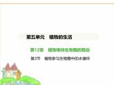 蘇科版七年級(jí)生物下冊(cè)第5單元植物的生活第12章植物維持生物圈的穩(wěn)定第3節(jié)植物參與生物圈中的水循環(huán)課件