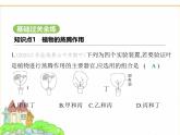 蘇科版七年級(jí)生物下冊(cè)第5單元植物的生活第12章植物維持生物圈的穩(wěn)定第3節(jié)植物參與生物圈中的水循環(huán)課件