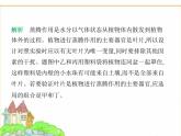 蘇科版七年級(jí)生物下冊(cè)第5單元植物的生活第12章植物維持生物圈的穩(wěn)定第3節(jié)植物參與生物圈中的水循環(huán)課件